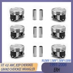 AMC STD 엔진 6PCS 피스톤 및 링 키트 91-06 4.0 L 12V ERH OHV For JEEP CHEROKEE GRAND CHEROKEE Ⅰ Ⅱ WRANGLER Ⅱ 0 : 프린스타46