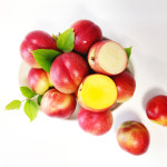 신비복숭아 신선 천도 말랑이 1kg 2kg : 이지퍼플