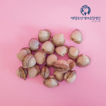 부안 곰소 해감 동죽 4kg~8kg : 백합수산영어조합법인