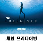 프리다이빙 강습 1일 체험다이빙 교육 부산 울산 경남 창원 김해 양산 PADI : 디엔에이