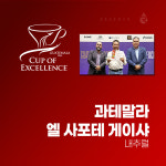 [제시엘리스] CoE 2위 - 과테말라 게이샤 엘 사포떼 내추럴 원두 100g : 제시엘리스 커피 공식스토어