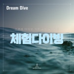 스킨스쿠버 체험다이빙 : 드림다이브