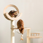세인트펫 모듈형 원목 캣타워 원하는대로 조립 트랜스포머 고양이캣타워 : 세인트펫