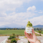 [제주] 오늘은 녹차족욕 : T-bridge