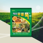 무름뚝500g : THE 풍년
