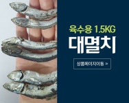 [통영멸치] 국내산(통영) 가정용 업소용 다시 국물 육수용 왕대멸치 1.5kg : 통영참멸치주식회사