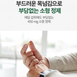 은행나무 추출물 징코 은행나무잎 혈액순환 진코민 약2개월 : 비앤엠스토어
