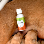 강아지 임신견 영양제 알러지 반려견 핀란드 오메가3 뉴트롤린 퍼피앤맘 150ml : 뉴트롤린 코리아