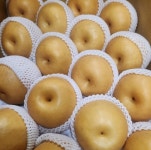 나주신고배 중과 2kg 내외 : 과일소담촌하남점