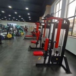 상업용 체육관 핀 장착 피트니스 장비 이두근 컬 머신 : 라온몰11