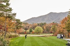 [5월 요금] 국내 경상도골프 - 상주 블루원cc 1박2일 36홀 자차패키지 : 골프야