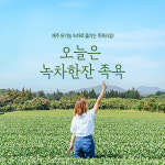 [제주] 오늘은 녹차족욕 : T-bridge