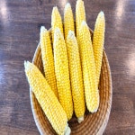 [정든곳간 ] 맛있는 초당 햇  옥수수 고당도  Non-Gmo 아삭하고 국산 중품,특품 : 팔도네이쳐