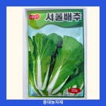 서울배추씨앗 엇갈이배추 30g 진흥종묘 텃밭식물 : 충대농자재