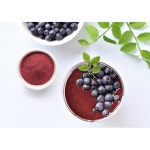 블루베리 파우더, 2파운드 - 무황색, 생, 비건, 벌크, 주스, 스무디, 인스턴트 아침 음료에 적합한 식품, 말토덱스트린 함유, 황산염 없음 0.5... 