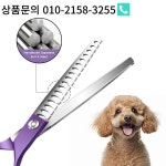 곡선 반려동물 손질 가위 스테인레스 스틸 오른손 개 전문 살롱 7 인치 : 한라산무역2