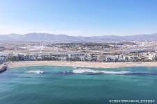 강릉 당일여행 - 강릉솔향수목원 + 중앙시장 + 아르떼뮤지엄 + 안목해변 : 트립앤미