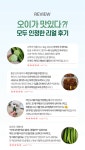 (농장직송) 당일수확 백다다기 오이 : 홍가네농수산