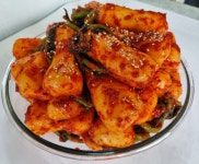 [정성가득] 전라도 여수 갑순네돌산갓김치 알타리김치 4kg, 1개 : 갑순네돌산갓김치