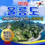 울릉도 크루즈 패키지 울릉도 독도 2박3일여행 동해여행사 : 동해여행사