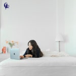 [미스터샌드맨코리아] 릴리 프리미엄 메모리폼 매트리스 27cm (퀸) : 미스터샌드맨코리아 주식회사
