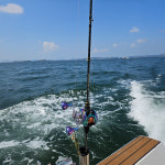 세네 조타 쭈꾸미 갑오징어 로드 낚시대 : 브랜드 오션