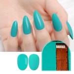 젤로젤로 JC-42 버디먼트 셀프 젤네일 폴리쉬 젤매니큐어 : 젤로젤로