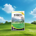 잔디 씨앗 한국 들잔디 산소 공원 묘지 정원 잔디 씨앗 씨 : 로맨틱 스토어