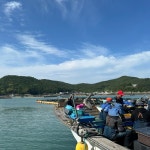 [현식이네] 완도참전복 7미 10미 12미 15미 생산자직송 : 애마리오