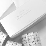 타투필름 관리 타투 패치 무광 타스TTTAS 실버실드 롤타입 : 타스서플라이