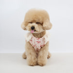 그루밍댕이 강아지옷 리본프릴 민소매 블라우스 M : 그루밍댕이