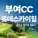 부여 롯데스카이힐cc 1박2일 패키지 충청도 골프 : 국내골프