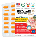 코랄 이가 포르테 골드 60정 120정 치아 코랄 칼슘 프로폴리스 비타민CD 브로멜라인 : 건강아름드리