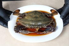 보성수산 황금게장 꽃게장 알배기 삼점게장 2kg (5-6미) 남포동 큰집 : 보성수산 황금게장
