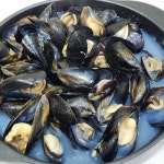 국내산 제철 홍합 남해안 손질 홍합 다듬이홍합 홍합탕 2kg 4kg : 바다베개