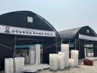 국내산무농약생목이버섯  500g 1kg  청년농부산지직송 : 긍정농부차씨