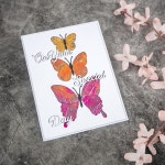 아름다운 잠자리 나비 빈티지 소용돌이 꽃 레이스 가장자리 코너 프레임 Diy 공예 만들기 카드에 대한 다이 컷 세트 : 수현커머스