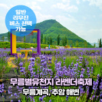 [강원] 동해 무릉별유천지 라벤더축제+무릉계곡+추암해변(출렁다리) 당일여행(일반/리무진)/서울경기出 : 파랑새투어