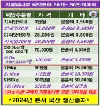 칼라기름밤나무(현재 3종류재배중 2년후부터 판매) : 기름밤나무의 메카