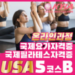 천호동요가학원 단기 속성 요가 강사 자격증 집중반 [온라인 5코스 B] : 국제바디교육아카데미