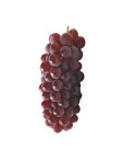 [당도선별] 씨 없이 달콤한 델라웨어 포도 1kg : 프레델 fredel