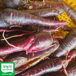 단짝상회 자색당근 해남 친환경당근 세척 해풍 1kg 2kg : 단짝 상회