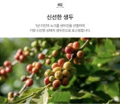 [원두마루] [2+1] 트리플 하모니 블렌드 원두 200g x 3개 / 고소함·산미·단맛의 조화/스페셜티 원두 : 원두마루