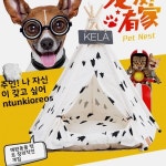 통기성 소나무 애완 동물 텐트 접이식 중형 개 캠핑 장비 휴대용 개집 침대 야외 활동 용품 : 도무스 포트
