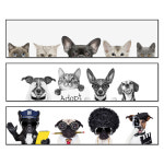 와이드 도그&캣 5점 소형 30x120cm 동물 그림 액자 감성 포스터 : 해브아트