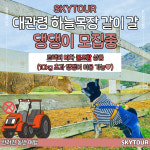 [평택 출발/신갈, 죽전 경유/트랙터마차 불포함] 대관령 하늘목장 펫투어 : 스카이투어-