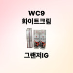 현대 그렌저IG 붓펜카페인트 WC9 화이트크림 차량 칠보수용 스크래치 작업색상 : J카상점