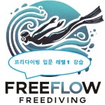 프리다이빙 입문 레벨1 : 프리플로우 프리다이빙