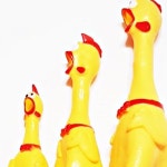 소리나는닭 미친닭 닭삑삑이 : lovenluv 러브앤루브