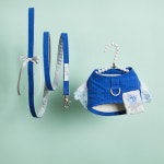 [루이독] 워크 위드 미/블루 로즈 : 커넥트현대 루이독